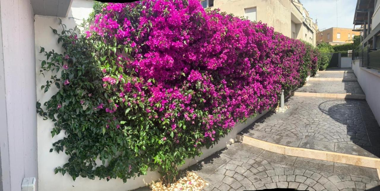 The Shabby House - Charming Seaside Retreat In Central Anzio, Steps From Beach And Train Station Εξωτερικό φωτογραφία