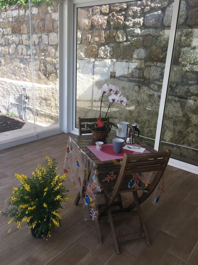 The Shabby House - Charming Seaside Retreat In Central Anzio, Steps From Beach And Train Station Εξωτερικό φωτογραφία